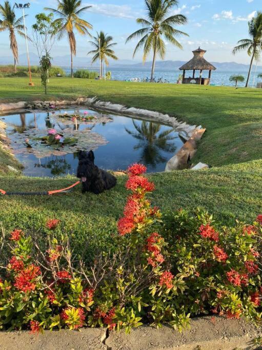 Acapulco Diamante Hermoso Departamento 外观 照片