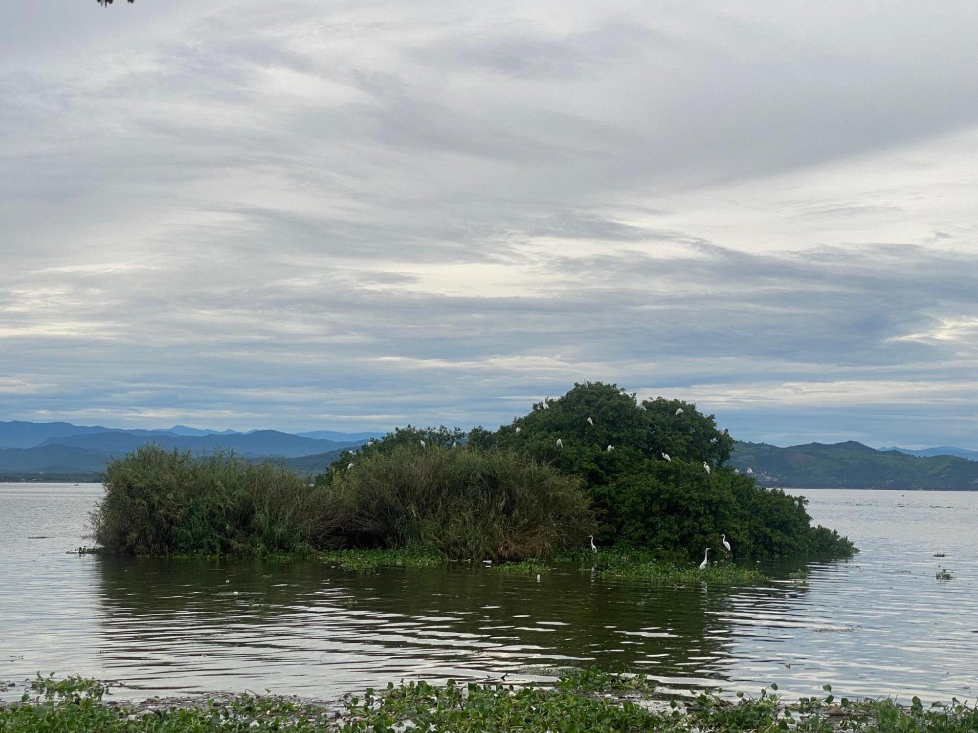 Acapulco Diamante Hermoso Departamento 外观 照片